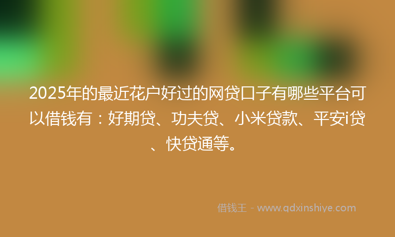2025年的最近花户好过的网贷口子有哪些平台可以借钱有：好期贷、功夫贷、小米贷款、平安i贷、快贷通等。