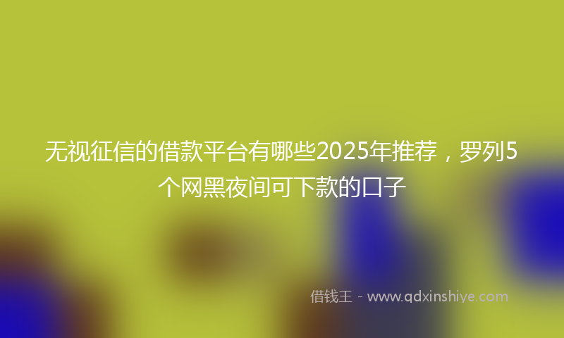 无视征信的借款平台有哪些2025年推荐，罗列5个网黑夜间可下款的口子