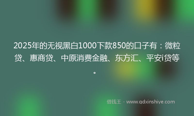 2025年的无视黑白1000下款850的口子有：微粒贷、惠商贷、中原消费金融、东方汇、平安i贷等。