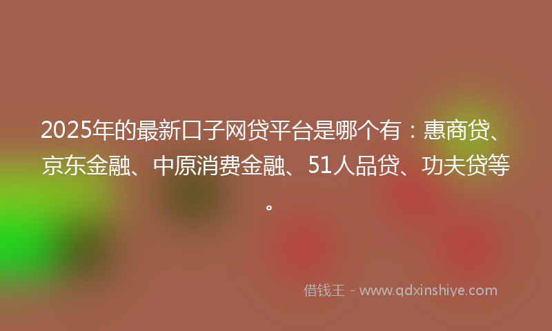 2025年的最新口子网贷平台是哪个有：惠商贷、京东金融、中原消费金融、51人品贷、功夫贷等。