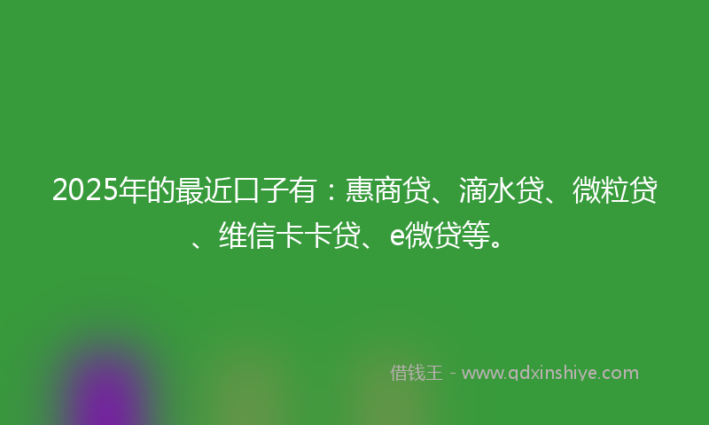 2025年的最近口子有：惠商贷、滴水贷、微粒贷、维信卡卡贷、e微贷等。