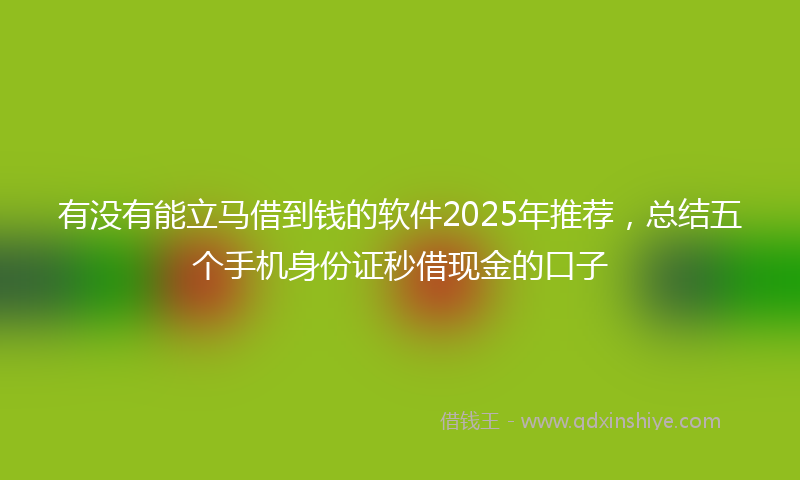 有没有能立马借到钱的软件2025年推荐，总结五个手机身份证秒借现金的口子