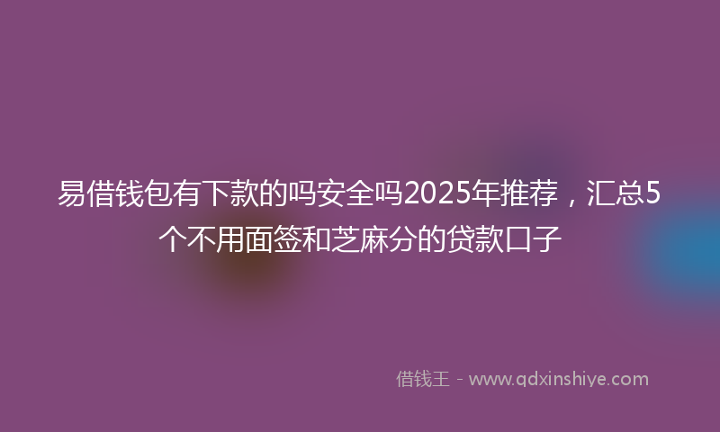 易借钱包有下款的吗安全吗2025年推荐，汇总5个不用面签和芝麻分的贷款口子