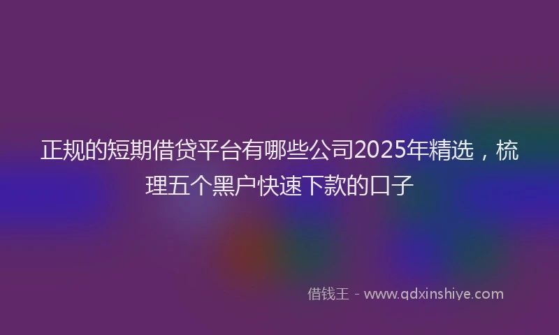 正规的短期借贷平台有哪些公司2025年精选，梳理五个黑户快速下款的口子