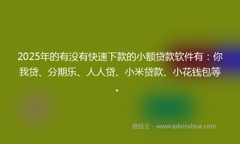 2025年的有没有快速下款的小额贷款软件有：你我贷、分期乐、人人贷、小米贷款、小花钱包等。