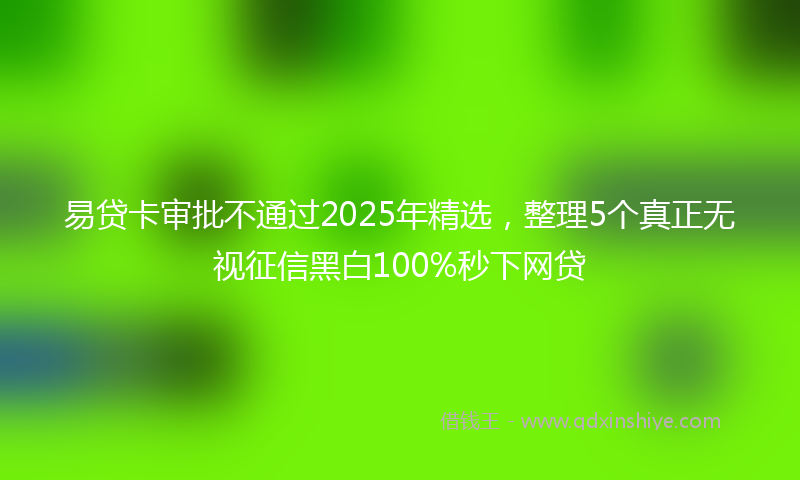 易贷卡审批不通过2025年精选，整理5个真正无视征信黑白100%秒下网贷