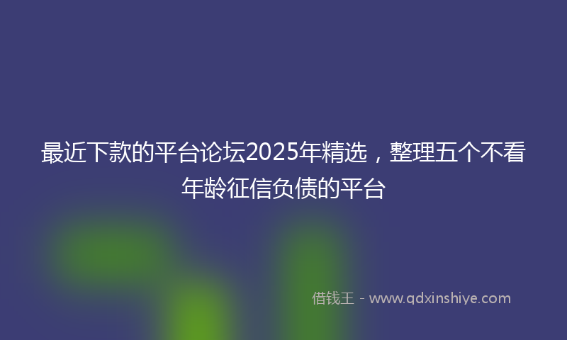 最近下款的平台论坛2025年精选，整理五个不看年龄征信负债的平台
