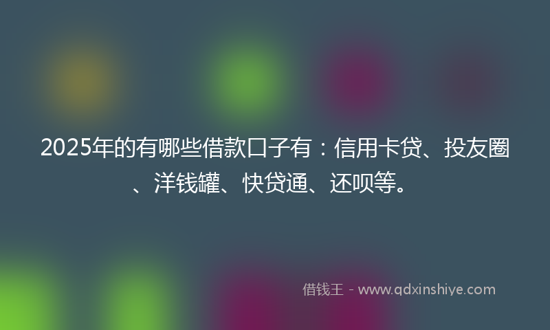 2025年的有哪些借款口子有：信用卡贷、投友圈、洋钱罐、快贷通、还呗等。
