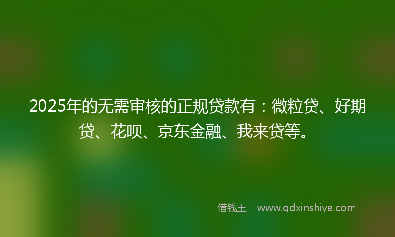 2025年的无需审核的正规贷款有：微粒贷、好期贷、花呗、京东金融、我来贷等。