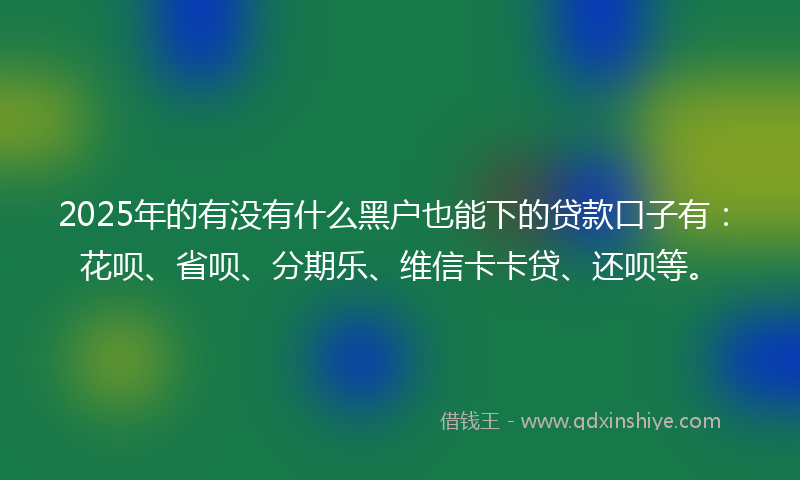 2025年的有没有什么黑户也能下的贷款口子有：花呗、省呗、分期乐、维信卡卡贷、还呗等。