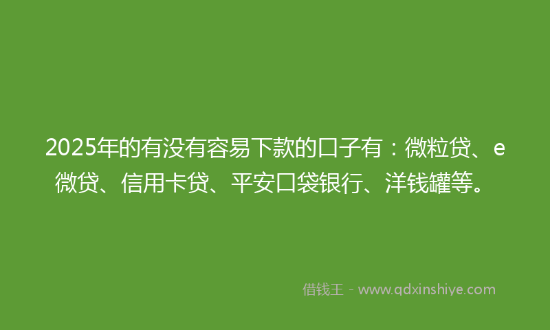 2025年的有没有容易下款的口子有：微粒贷、e微贷、信用卡贷、平安口袋银行、洋钱罐等。