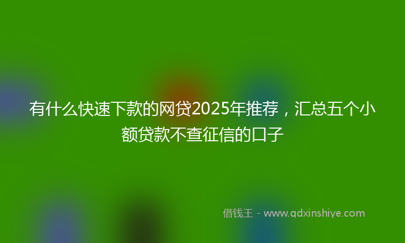 有什么快速下款的网贷2025年推荐，汇总五个小额贷款不查征信的口子