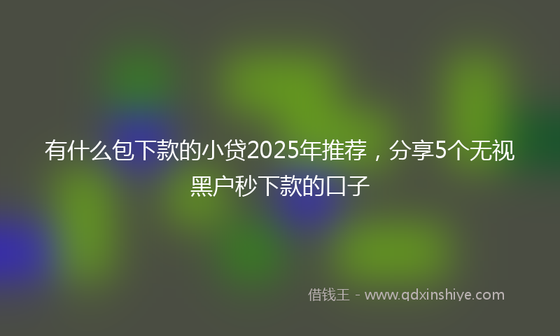 有什么包下款的小贷2025年推荐，分享5个无视黑户秒下款的口子