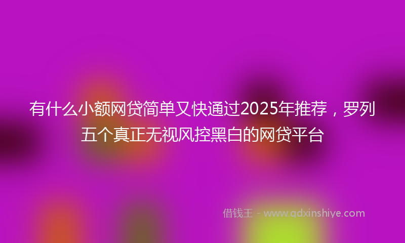 有什么小额网贷简单又快通过2025年推荐，罗列五个真正无视风控黑白的网贷平台