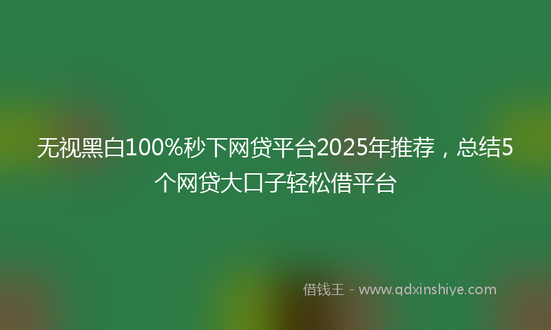 无视黑白100%秒下网贷平台2025年推荐，总结5个网贷大口子轻松借平台