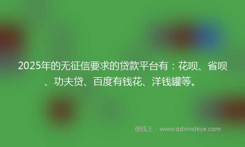 2025年的无征信要求的贷款平台有：花呗、省呗、功夫贷、百度有钱花、洋钱罐等。