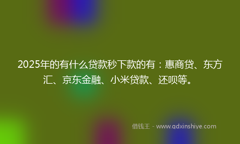 2025年的有什么贷款秒下款的有：惠商贷、东方汇、京东金融、小米贷款、还呗等。