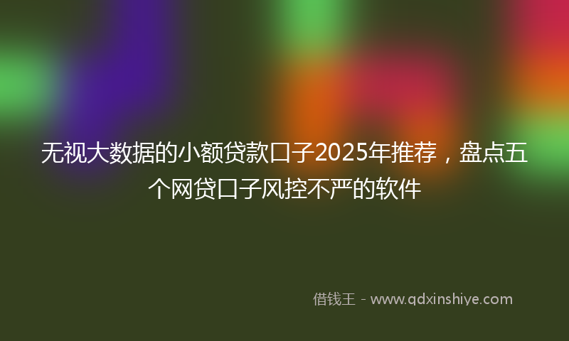 无视大数据的小额贷款口子2025年推荐，盘点五个网贷口子风控不严的软件