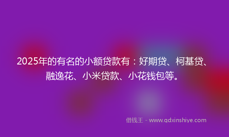 2025年的有名的小额贷款有：好期贷、柯基贷、融逸花、小米贷款、小花钱包等。