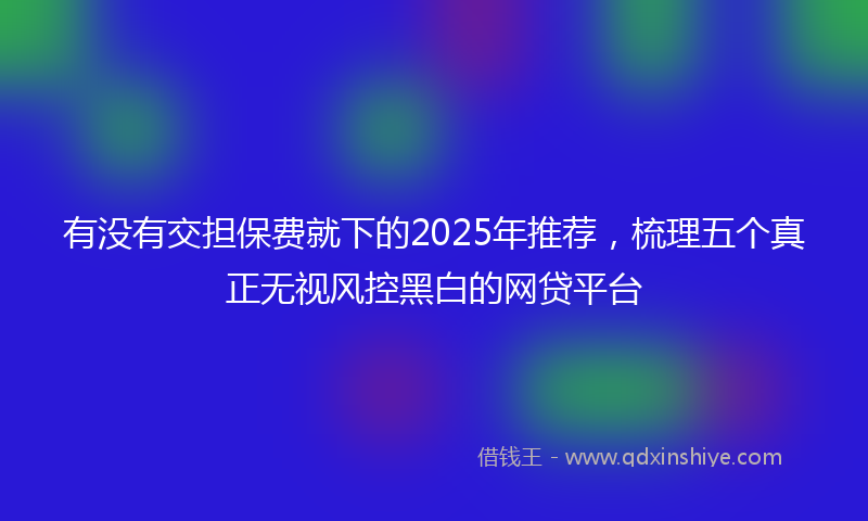 有没有交担保费就下的2025年推荐，梳理五个真正无视风控黑白的网贷平台