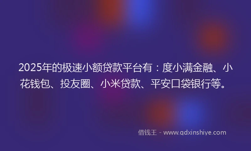 2025年的极速小额贷款平台有：度小满金融、小花钱包、投友圈、小米贷款、平安口袋银行等。