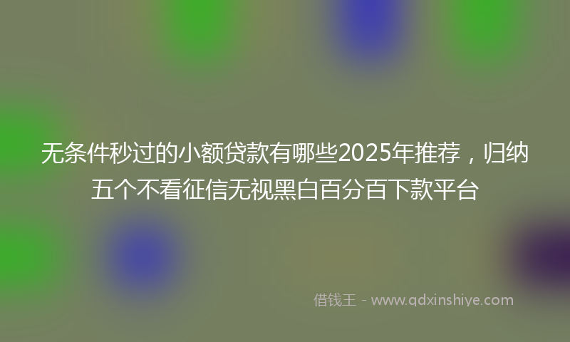 无条件秒过的小额贷款有哪些2025年推荐，归纳五个不看征信无视黑白百分百下款平台