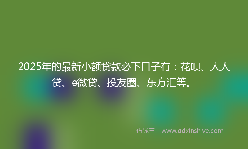 2025年的最新小额贷款必下口子有：花呗、人人贷、e微贷、投友圈、东方汇等。