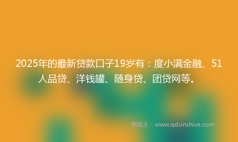 2025年的最新贷款口子19岁有：度小满金融、51人品贷、洋钱罐、随身贷、团贷网等。
