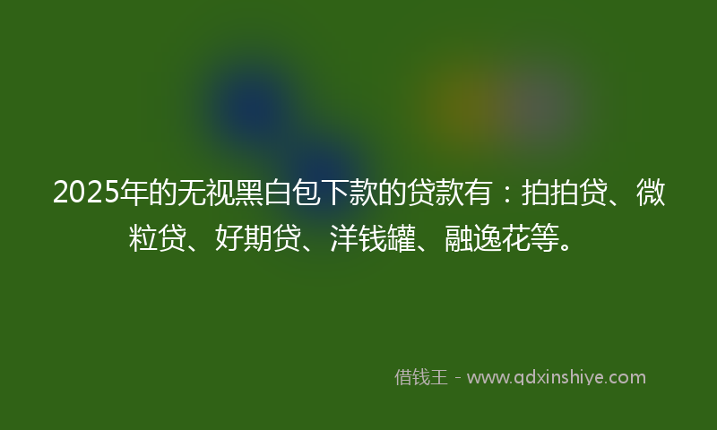 2025年的无视黑白包下款的贷款有：拍拍贷、微粒贷、好期贷、洋钱罐、融逸花等。