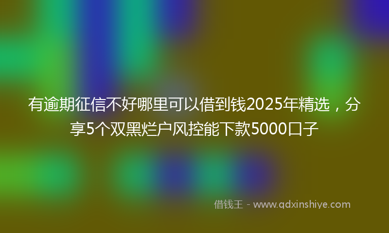 有逾期征信不好哪里可以借到钱2025年精选，分享5个双黑烂户风控能下款5000口子