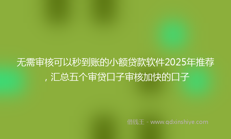 无需审核可以秒到账的小额贷款软件2025年推荐，汇总五个审贷口子审核加快的口子