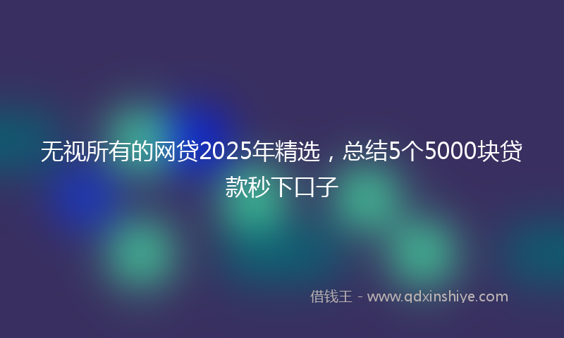 无视所有的网贷2025年精选，总结5个5000块贷款秒下口子