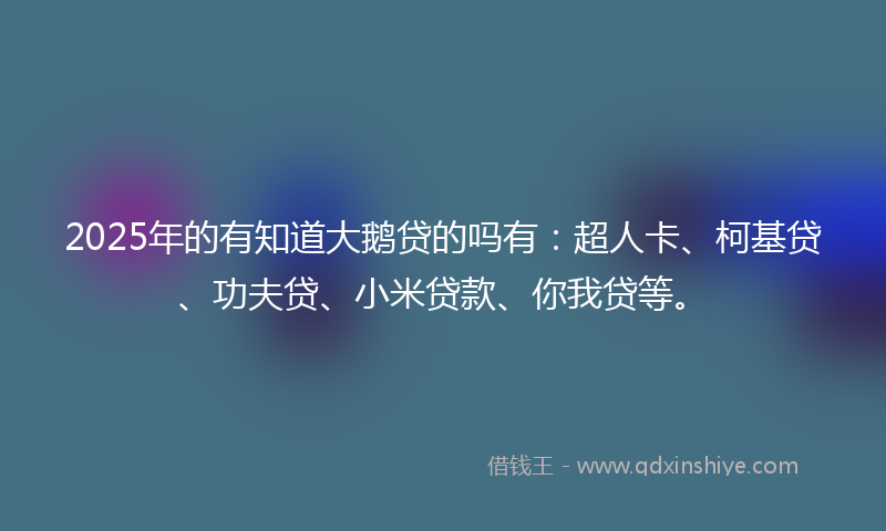 2025年的有知道大鹅贷的吗有：超人卡、柯基贷、功夫贷、小米贷款、你我贷等。