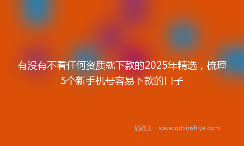 有没有不看任何资质就下款的2025年精选，梳理5个新手机号容易下款的口子