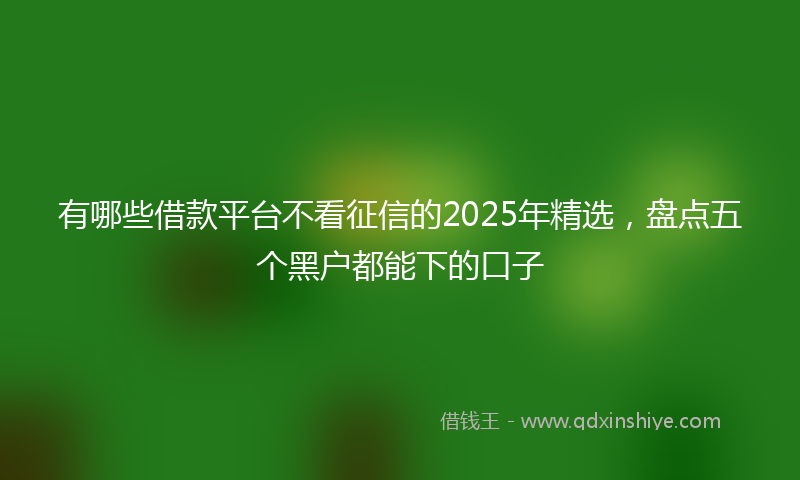有哪些借款平台不看征信的2025年精选，盘点五个黑户都能下的口子