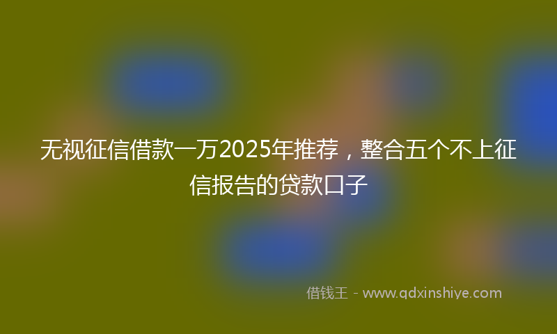 无视征信借款一万2025年推荐，整合五个不上征信报告的贷款口子