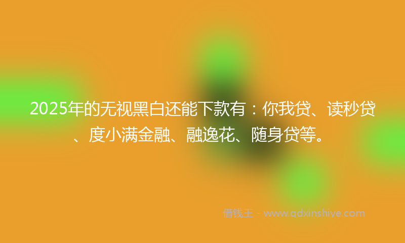 2025年的无视黑白还能下款有：你我贷、读秒贷、度小满金融、融逸花、随身贷等。