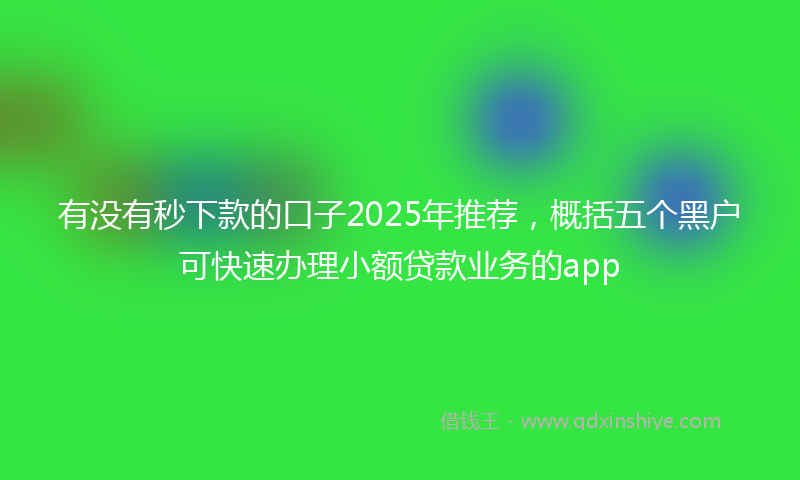 有没有秒下款的口子2025年推荐，概括五个黑户可快速办理小额贷款业务的app