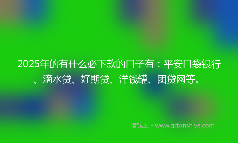2025年的有什么必下款的口子有：平安口袋银行、滴水贷、好期贷、洋钱罐、团贷网等。