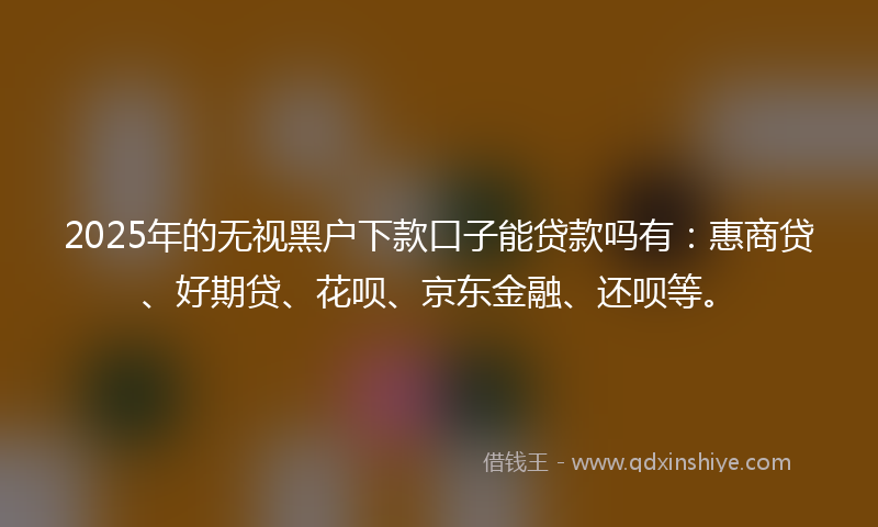2025年的无视黑户下款口子能贷款吗有：惠商贷、好期贷、花呗、京东金融、还呗等。