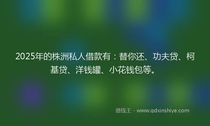 2025年的株洲私人借款有：替你还、功夫贷、柯基贷、洋钱罐、小花钱包等。