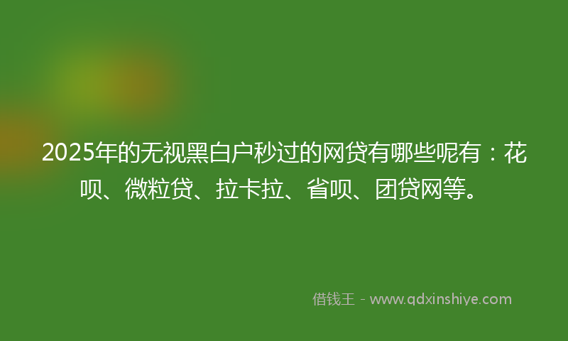 2025年的无视黑白户秒过的网贷有哪些呢有：花呗、微粒贷、拉卡拉、省呗、团贷网等。