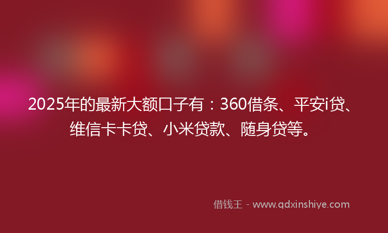 2025年的最新大额口子有：360借条、平安i贷、维信卡卡贷、小米贷款、随身贷等。