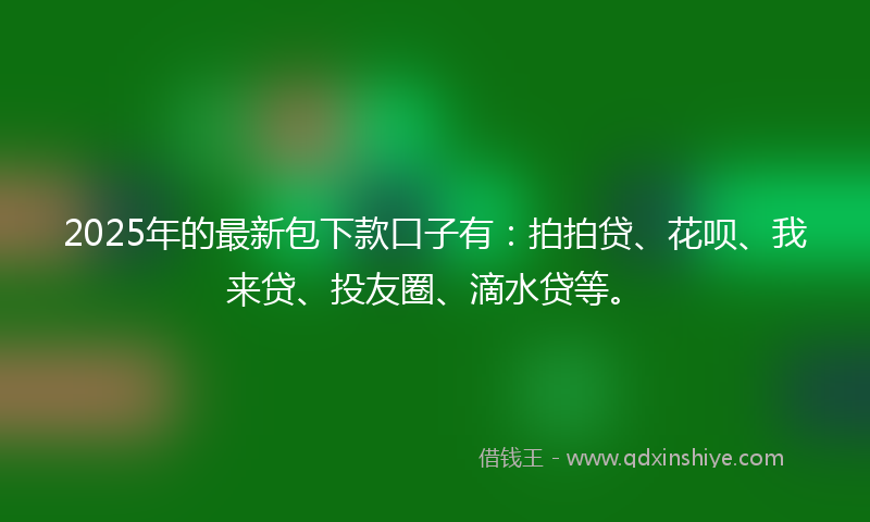 2025年的最新包下款口子有：拍拍贷、花呗、我来贷、投友圈、滴水贷等。