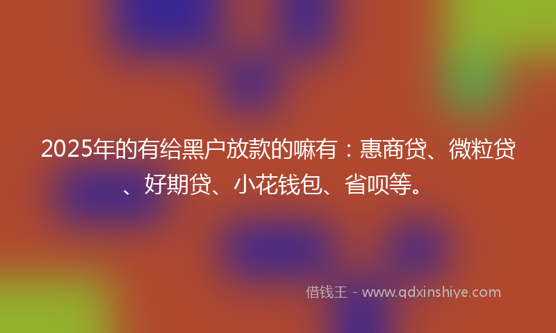 2025年的有给黑户放款的嘛有：惠商贷、微粒贷、好期贷、小花钱包、省呗等。