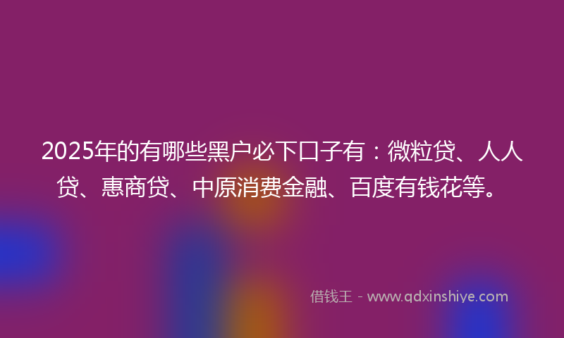 2025年的有哪些黑户必下口子有：微粒贷、人人贷、惠商贷、中原消费金融、百度有钱花等。