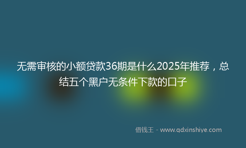 无需审核的小额贷款36期是什么2025年推荐，总结五个黑户无条件下款的口子