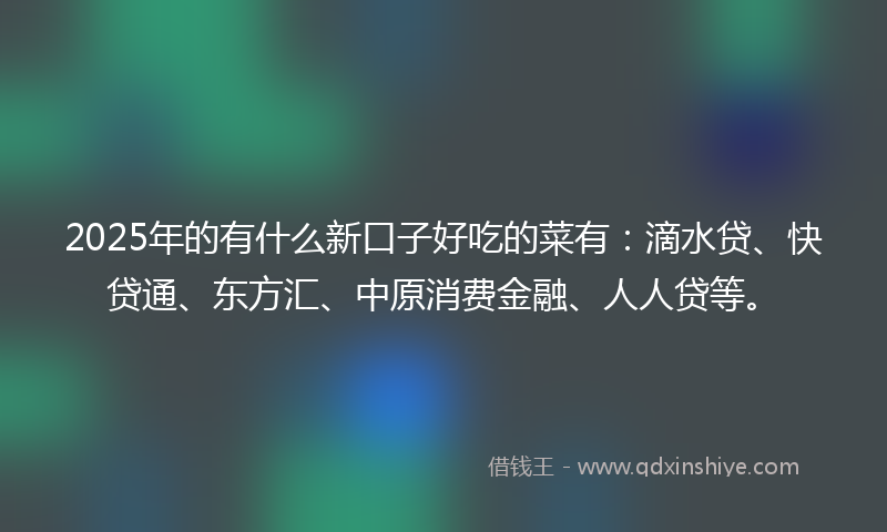 2025年的有什么新口子好吃的菜有：滴水贷、快贷通、东方汇、中原消费金融、人人贷等。