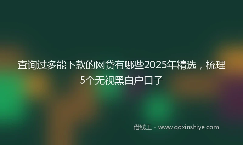 查询过多能下款的网贷有哪些2025年精选，梳理5个无视黑白户口子