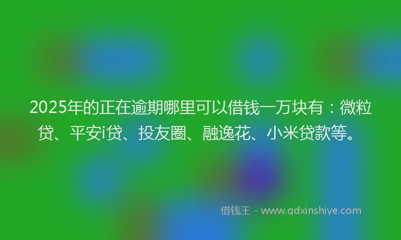 2025年的正在逾期哪里可以借钱一万块有：微粒贷、平安i贷、投友圈、融逸花、小米贷款等。